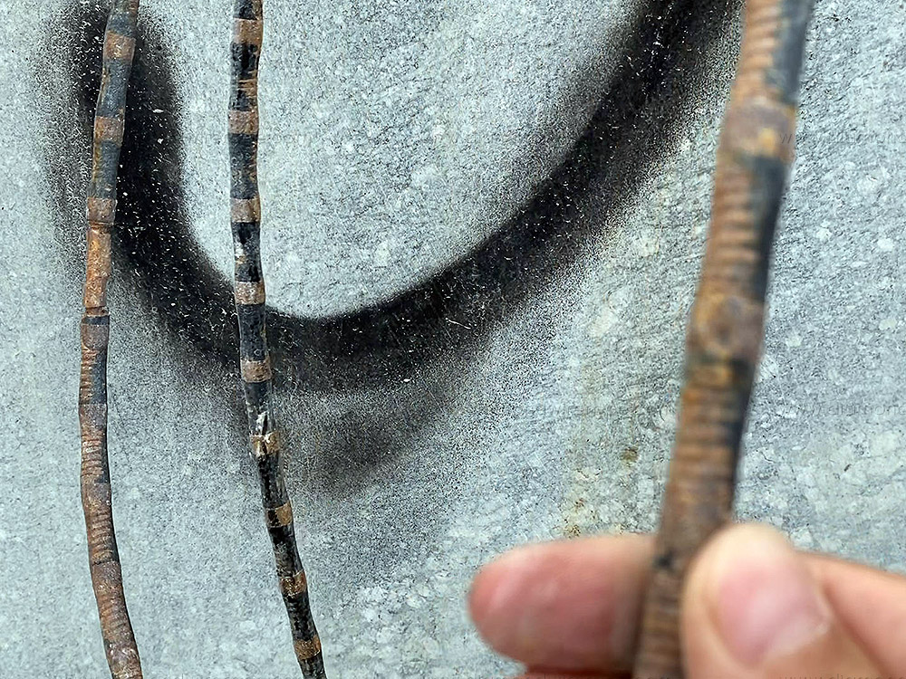 Rope - joining problem Rope - joining problem